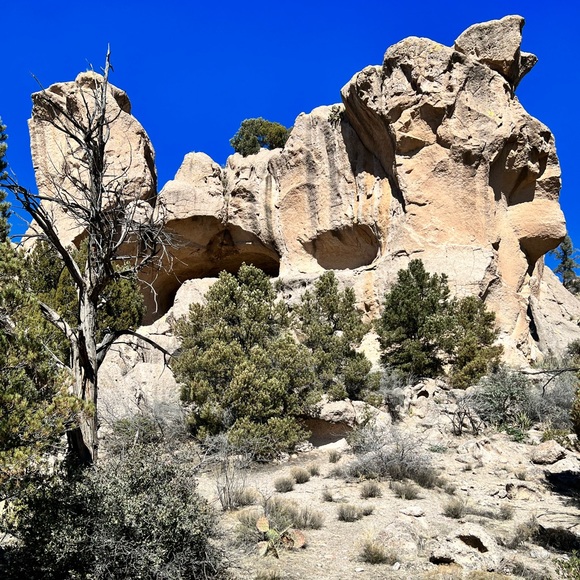 Essentials from Sunnny Arizona - Picture 1 of 1